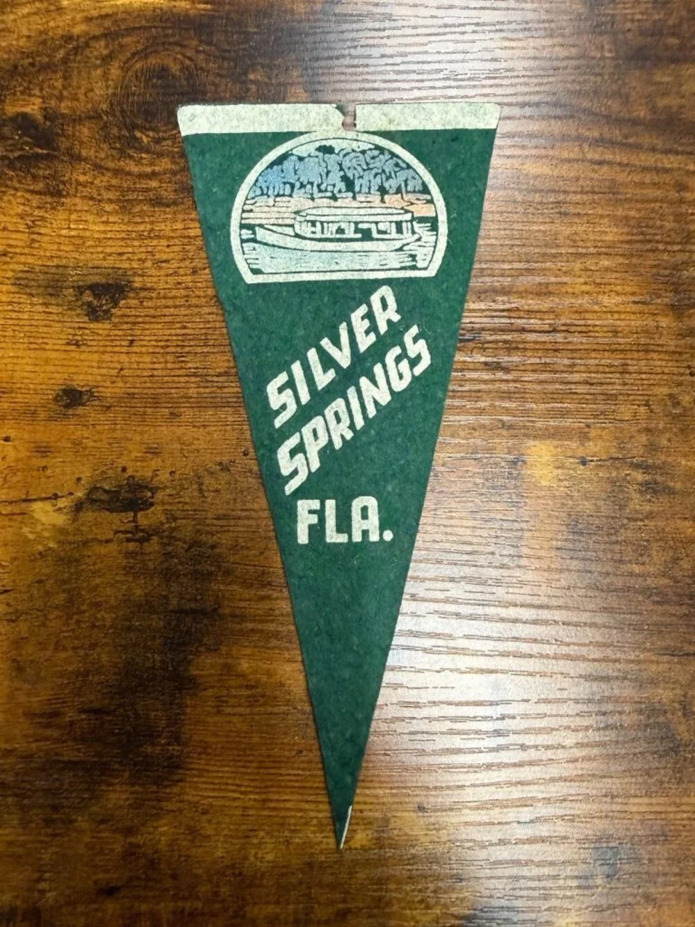 Vintage Silver Springs, Fla mini pennant